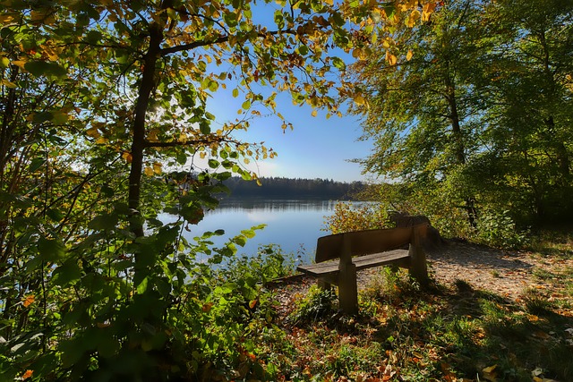 冰城多年来 冰城多年来
