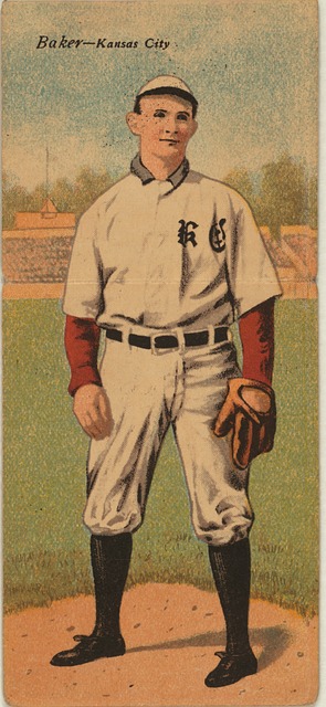 国羽发展的 国羽发展的