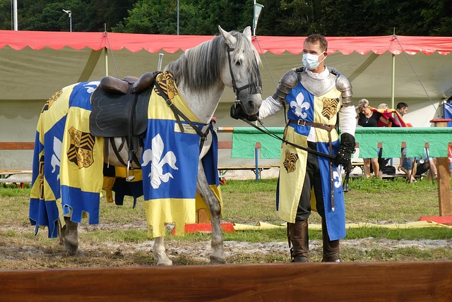 虽然公牛依 虽然公牛依