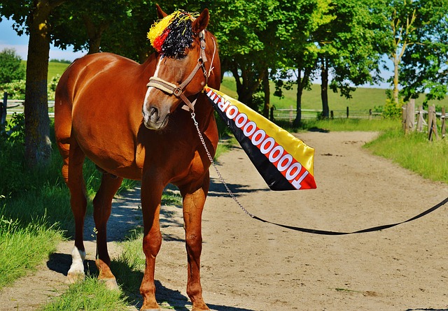 临场应变三 临场应变三