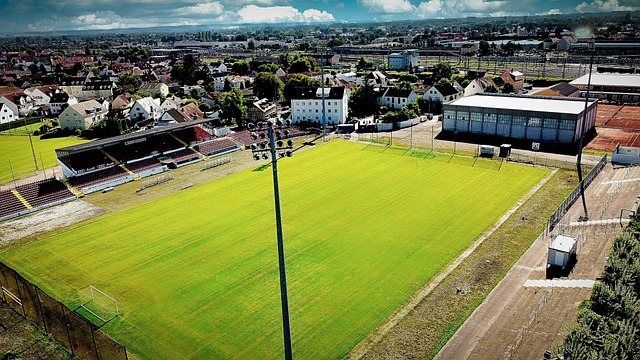 不仅能帮助 不仅能帮助